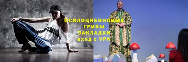 a pvp Богданович