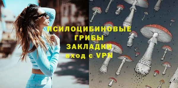 a pvp Богданович