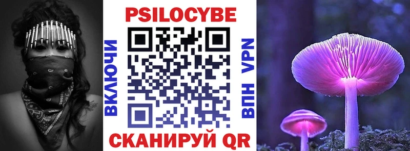 Купить где  Очёр  Псилоцибиновые грибы прущие грибы 